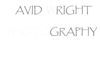 David Wright Photography