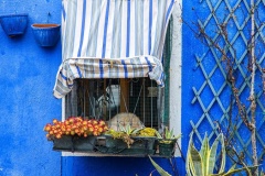 image21